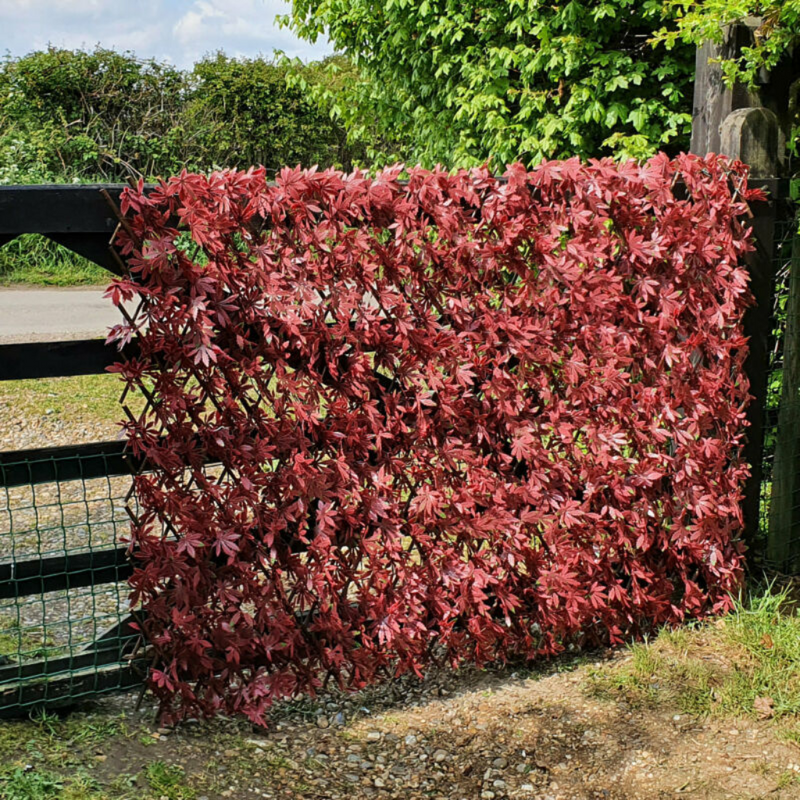 Artificial Red Trellis Screen - Cints and Home