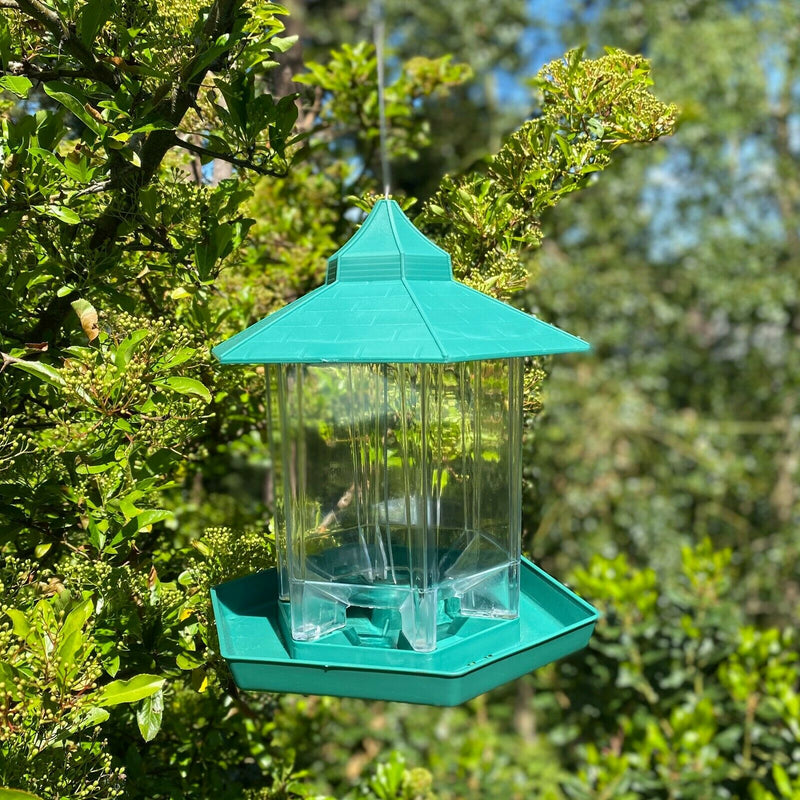Green Hanging Chalet Bird Feeder - Cints and Home