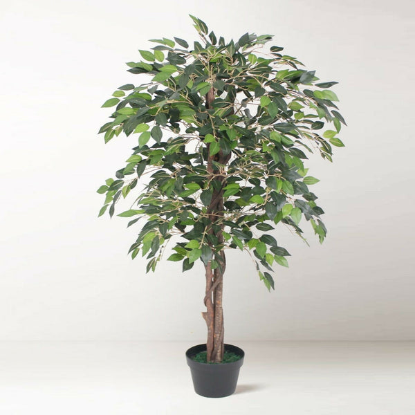 Artificial Ficus Plants - Cints and Home