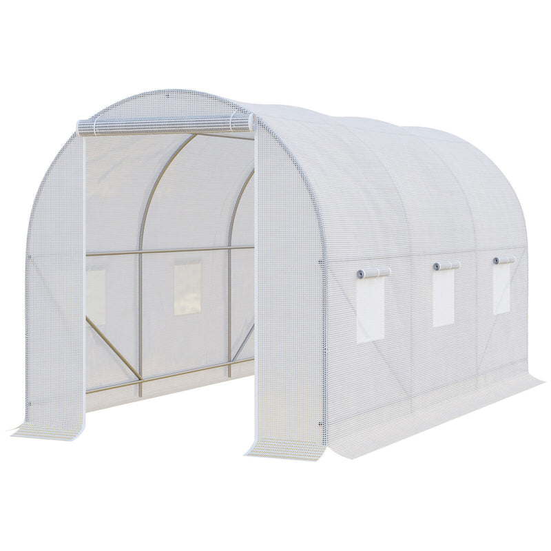 Walk-in Greenhouse - Cints and Home