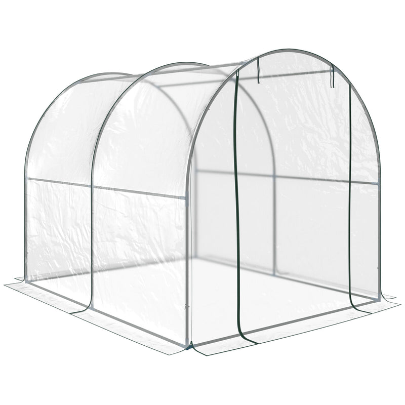 Walk-in Polytunnel Greenhouse - Transparent - Cints and Home