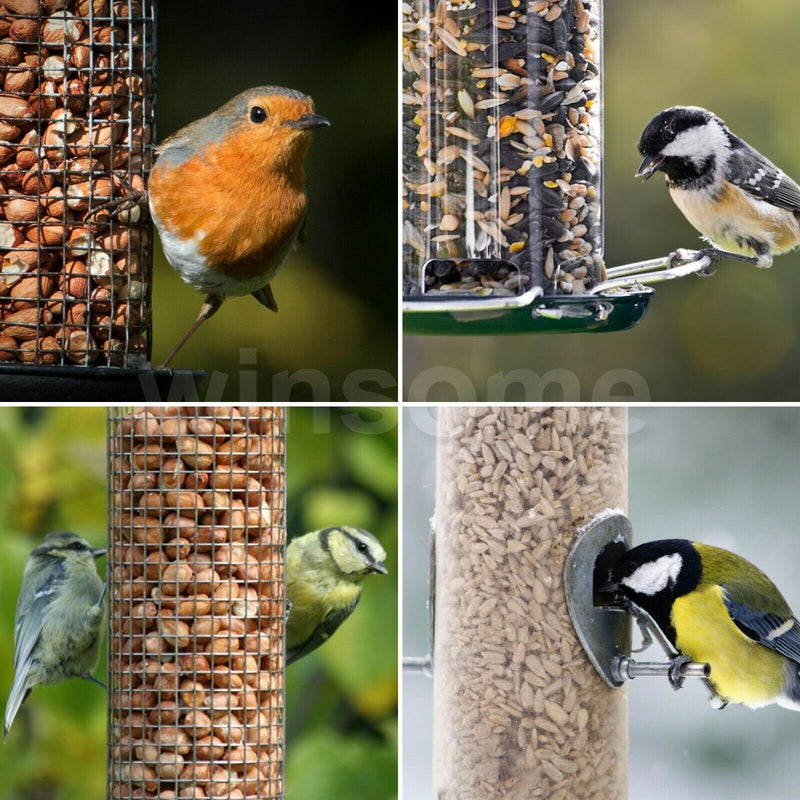 Feeder for Birds - Cints and Home