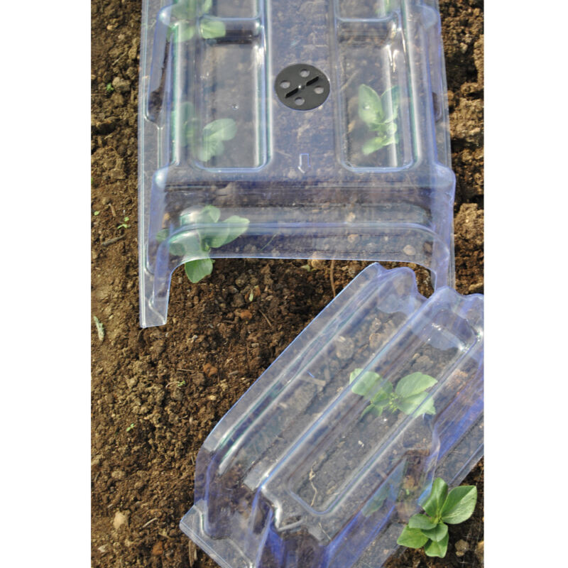 Mini Greenhouse Cloche Plastic Outdoor Garden Max Protect