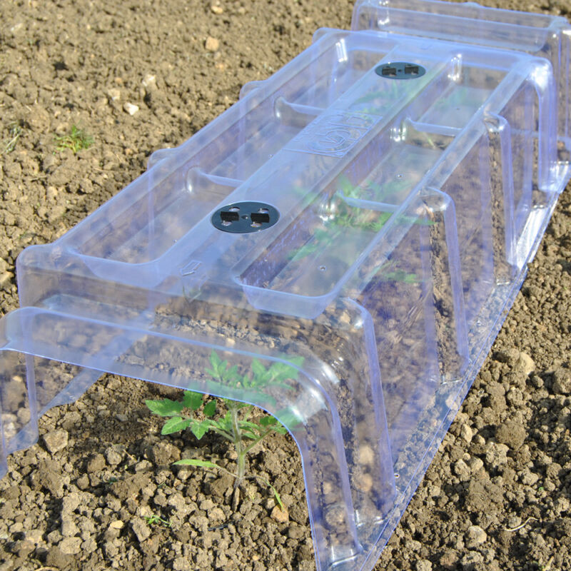 Mini Greenhouse Cloche Plastic Outdoor Garden Max Protect
