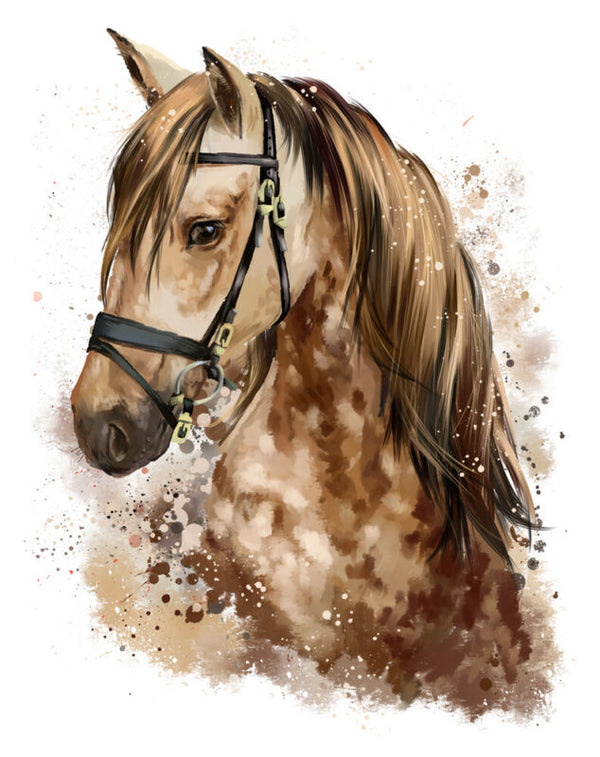 HORSE A4 PRINT POSTER PICTURE WALL ART HOME DECOR UNFRAMED - Cints and Home