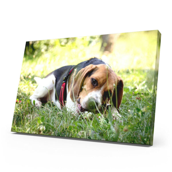 Personalised Photo Canvas Framed Picture Prints - Cints and Home