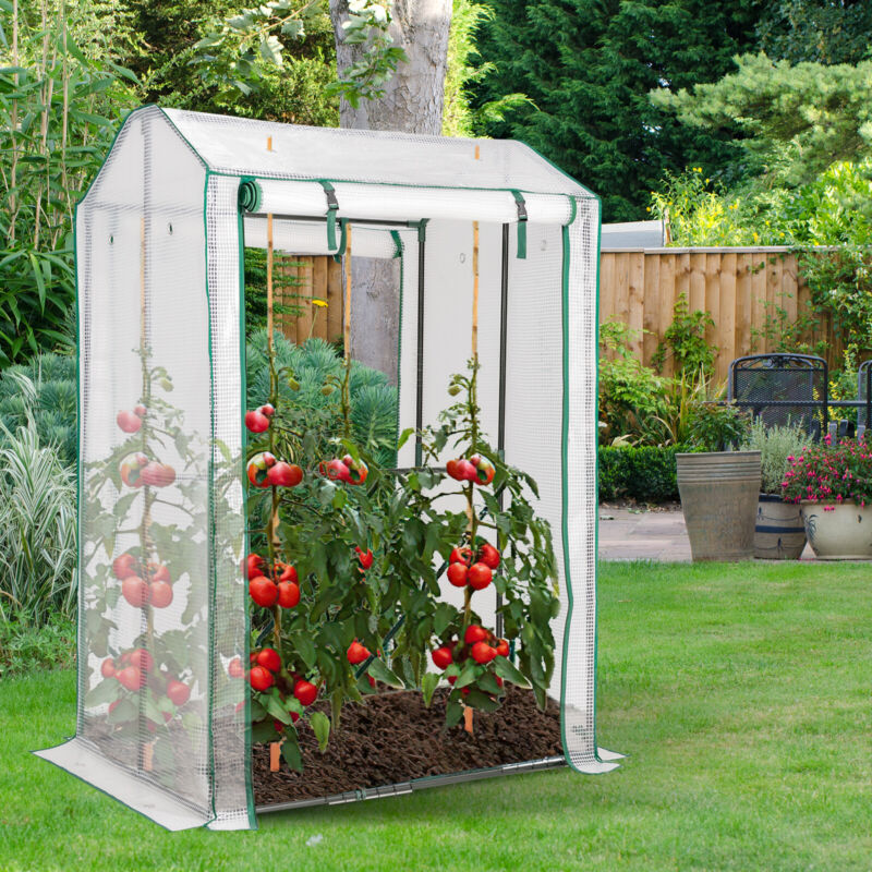 Walk-in Greenhouse Portable Garden Plants Growhouse