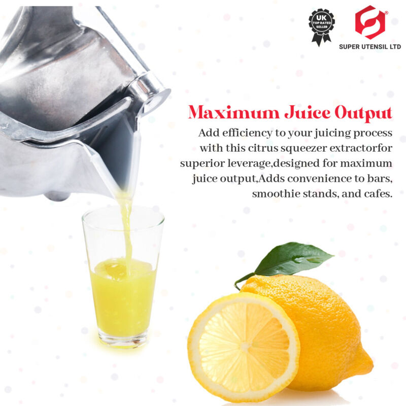 Stainless Steel Manual Juicer - Cints and Home