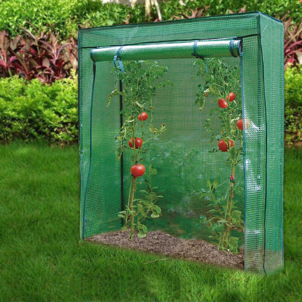 Garden Grow Bag Green House with Shelves and Greenhouse Cover