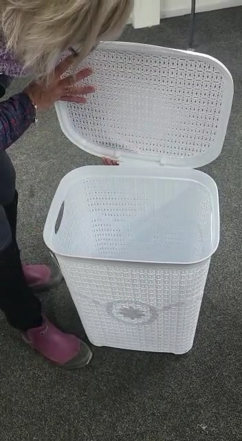 Large Plastic Laundry Basket Clothes Washing Bin Hamper Storage Organiser 65L