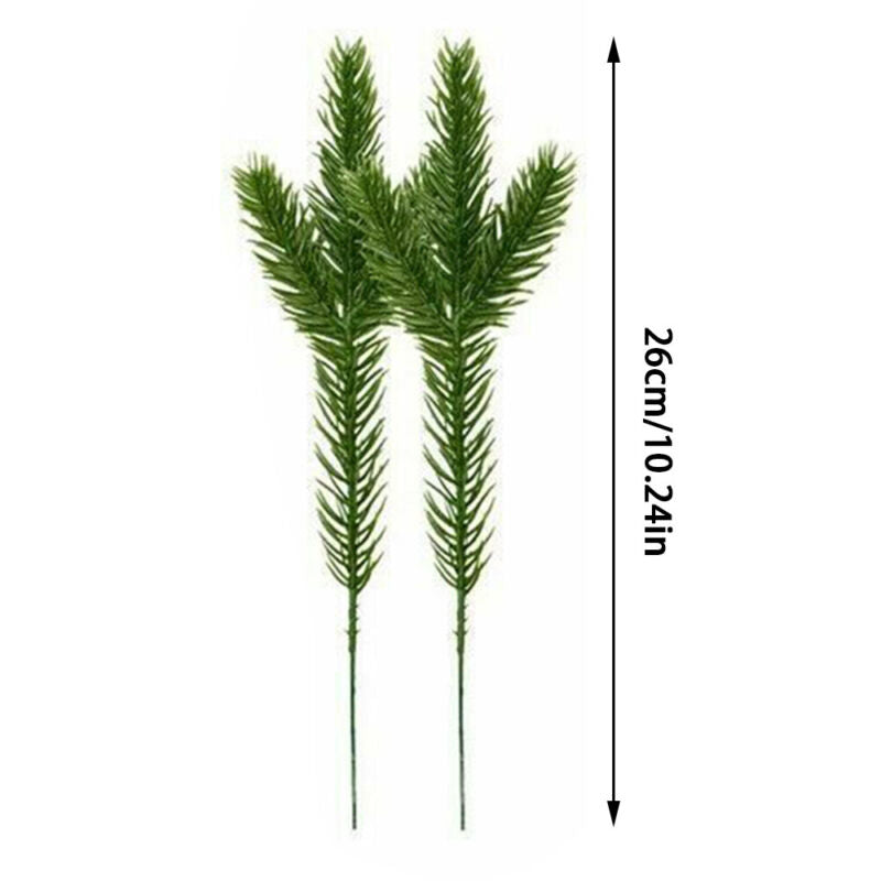 Pine Needle Plant Branch