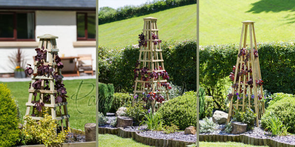 Garden Obelisk for Climbing Plant Support Pressure treated Solid wood