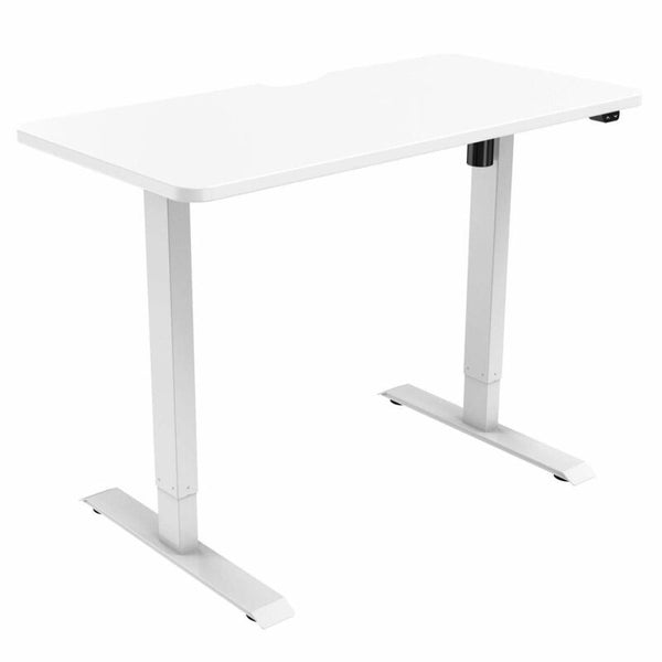 Ergonomic  Standing Desk - Cints and Home
