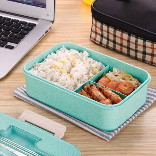 3 Compartment Lunch Box Kids & Adults Leakproof