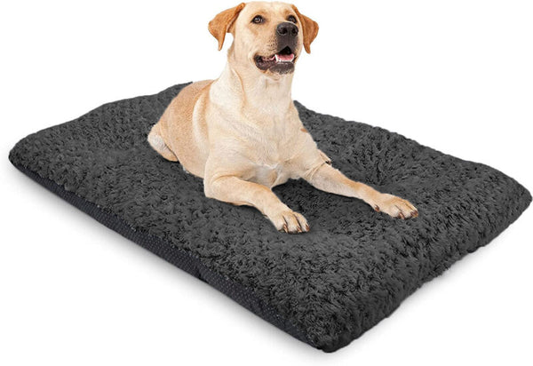 Pet dog and cat mattress