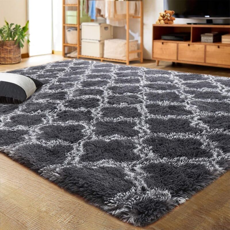 Living room shaggy rug