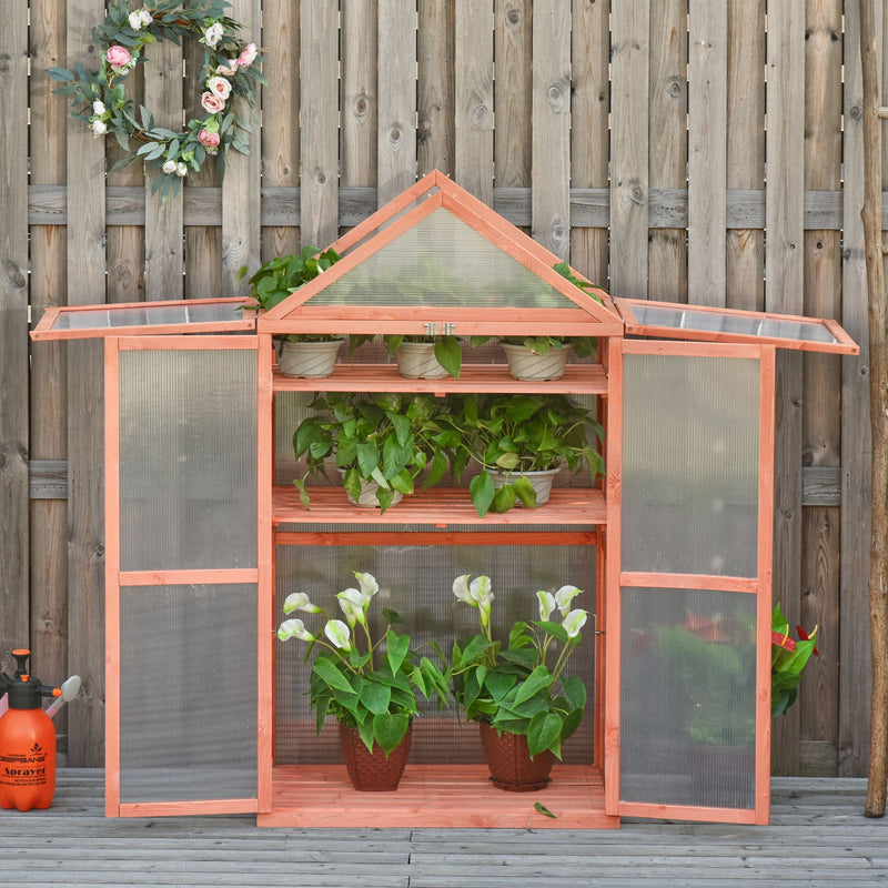 Greenhouse for Plants Vegetables Flowers